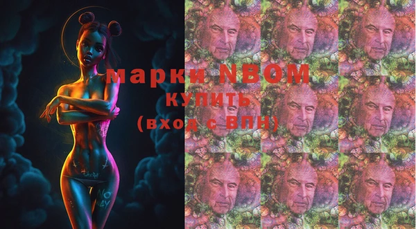Альфа ПВП Лагань