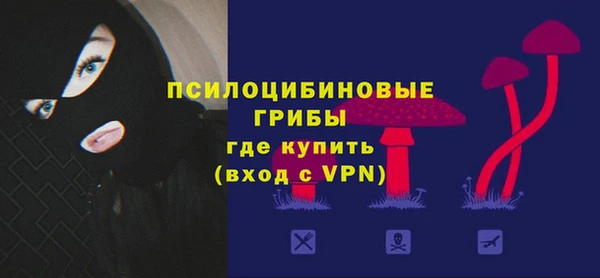 MESCALINE Лабытнанги