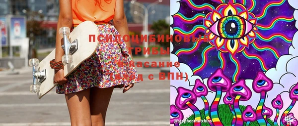 Альфа ПВП Лагань