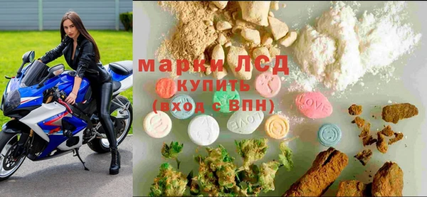 Альфа ПВП Лагань