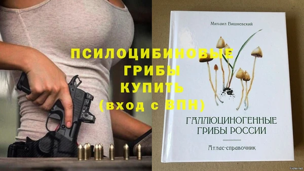 Альфа ПВП Лагань