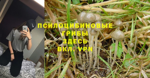 Альфа ПВП Лагань