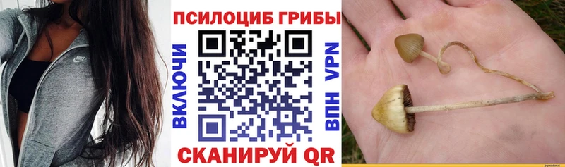 Галлюциногенные грибы Magic Shrooms  Купить где  Реж 